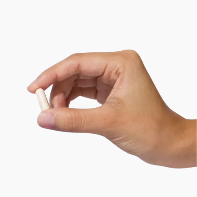 FITBIOMICS Nella - The Performance Probiotic – 30 Capsules